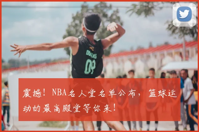 震撼！NBA名人堂名单公布，篮球运动的最高殿堂等你来！